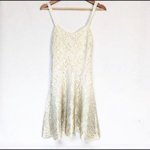 Free People Ombré Lace Metallic Fit & Flare Ivory